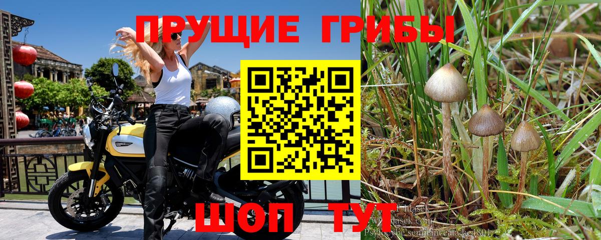 Псилоцибиновые грибы MAGIC MUSHROOMS Железноводск