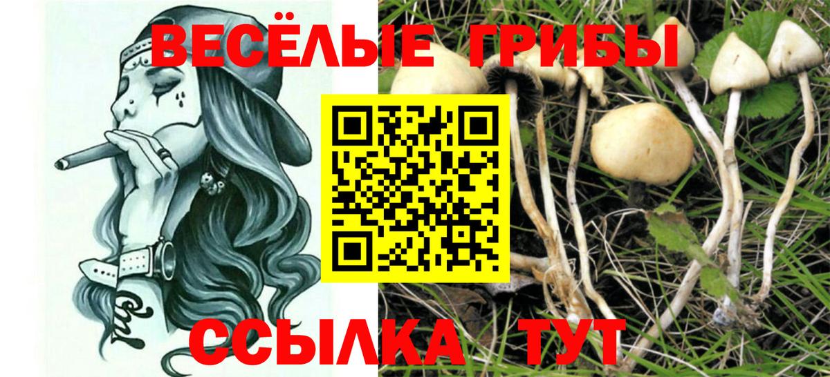 Железноводск  Псилоцибиновые грибы мухоморы  Вход с VPN  Псилоцибиновые грибы прущие грибы 